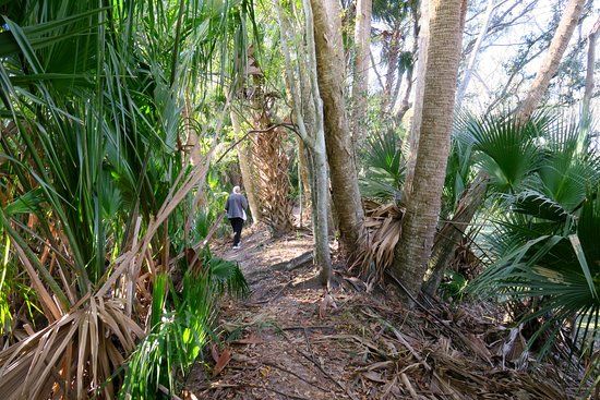 Black Bear Wilderness Area
